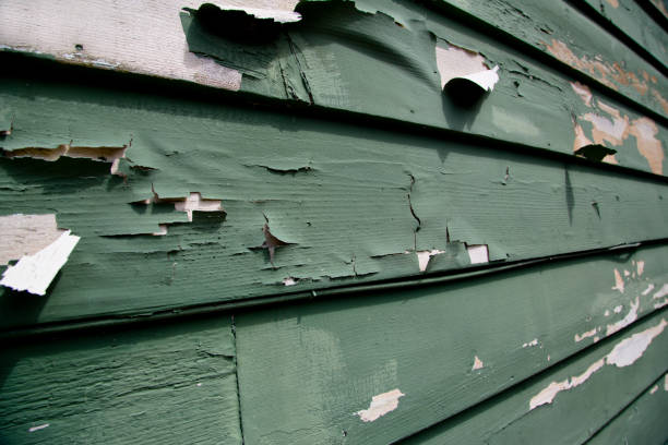 Best Siding Painting and Refinishing  in Sconsin Dells, WI