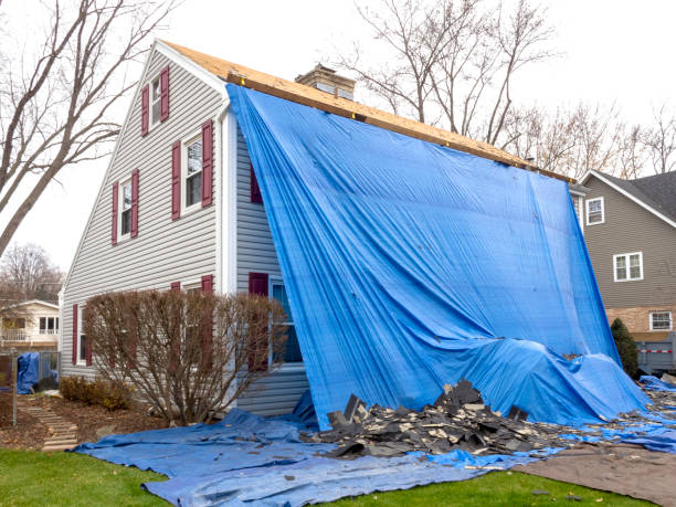 Best Brick Veneer Siding  in Sconsin Dells, WI